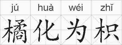 橘化为枳的拼音