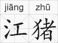 江猪的拼音