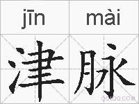 津脉的拼音