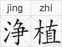 浄植的拼音