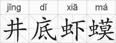 井底虾蟆的拼音