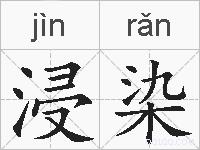 浸染的拼音