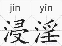 浸淫的拼音