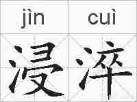 浸淬的拼音