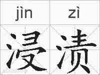 浸渍的拼音