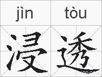 浸透的拼音