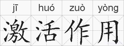 激活作用的拼音