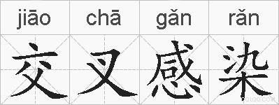 交叉感染的拼音