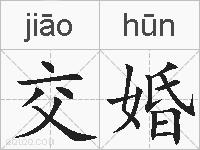 交婚的拼音