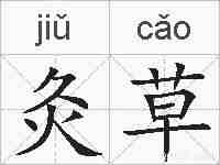 灸草的拼音