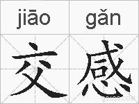 交感的拼音