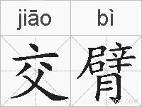 交臂的拼音