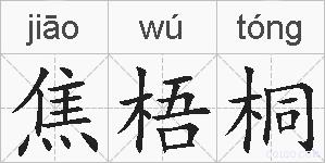 焦梧桐的拼音
