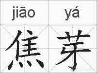 焦芽的拼音