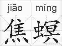 焦螟的拼音