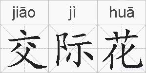 交际花的拼音