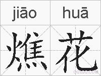 燋花的拼音