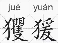 玃猨的拼音