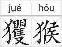 玃猴的拼音