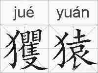 玃猿的拼音