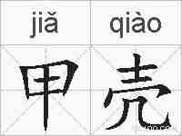 甲壳的拼音