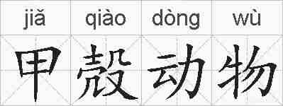 甲殻动物的拼音