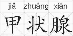 甲状腺的拼音
