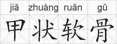 甲状软骨的拼音
