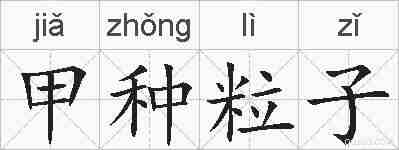 甲种粒子的拼音