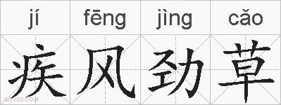 疾风劲草的拼音
