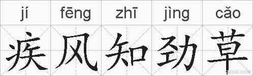 疾风知劲草的拼音