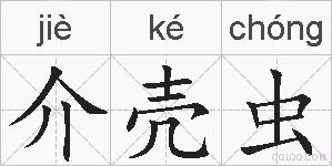 介壳虫的拼音