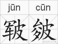 皲皴的拼音