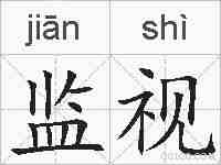 监视的拼音