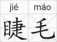 睫毛的拼音