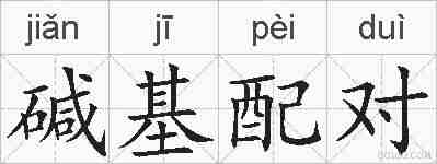 碱基配对的拼音