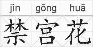 禁宫花的拼音