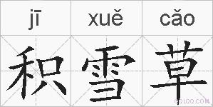 积雪草的拼音