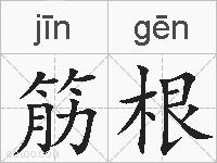 筋根的拼音
