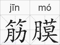 筋膜的拼音