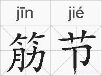 筋节的拼音
