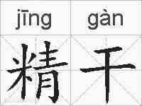 精干的拼音