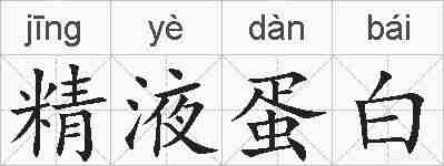 精液蛋白的拼音