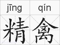 精禽的拼音