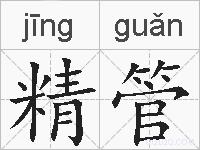 精管的拼音
