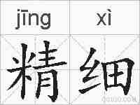 精细的拼音