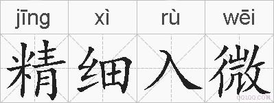精细入微的拼音