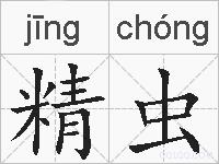 精虫的拼音