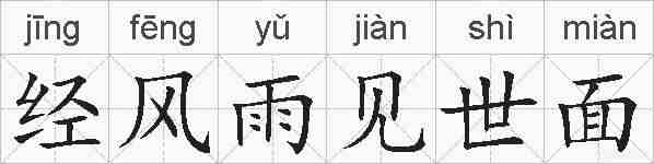 经风雨见世面的拼音
