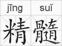 精髓的拼音